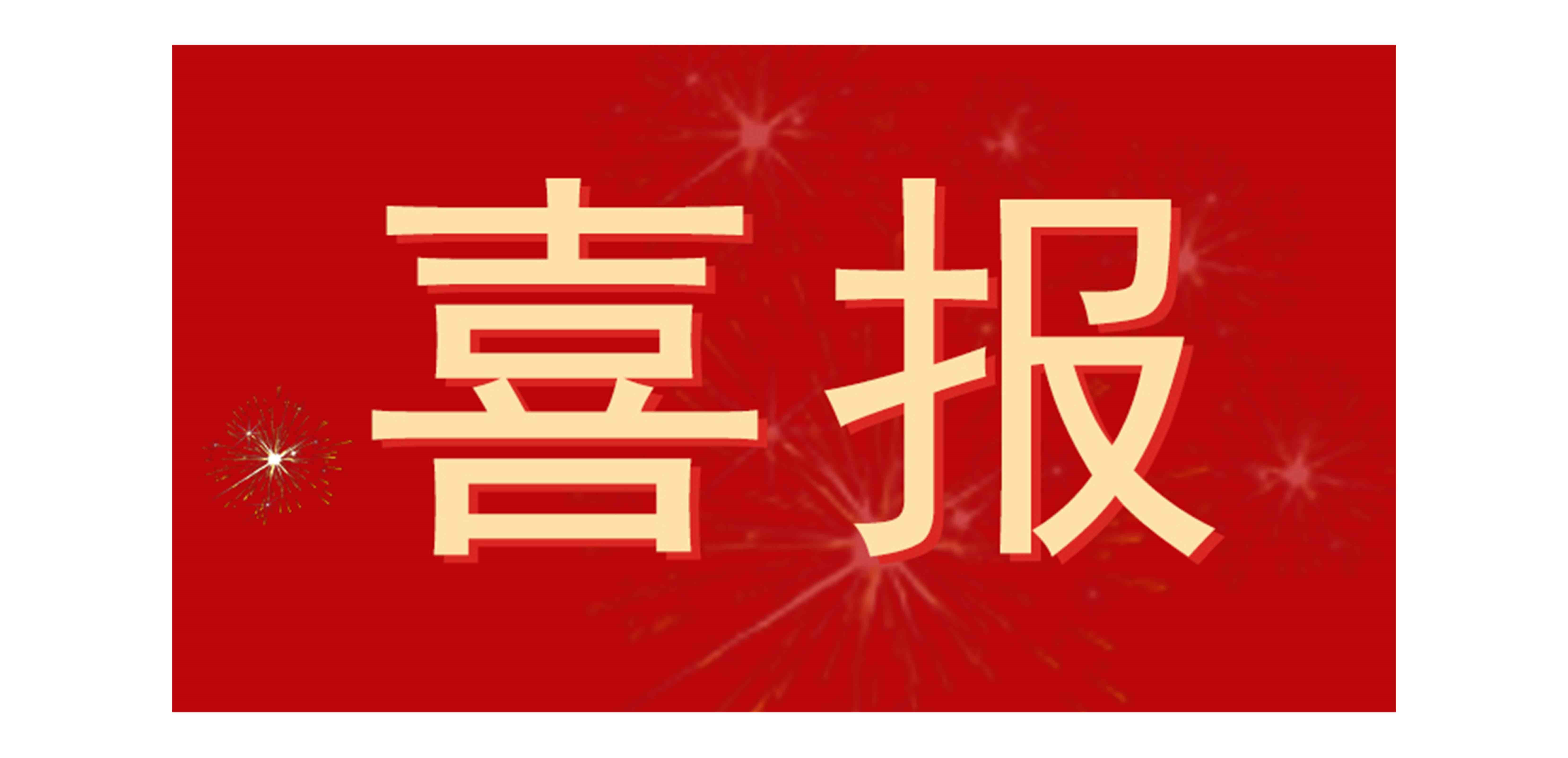 喜报！上海管丽公司荣获“2024年度上海市科技进步奖”二等奖🥇